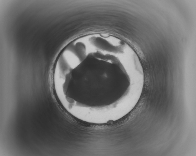 X0000102531522200809051458