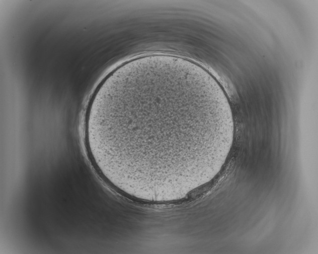 X0000102531523200809051458