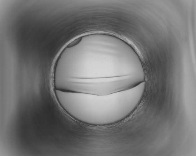 X0000102531524200809051458