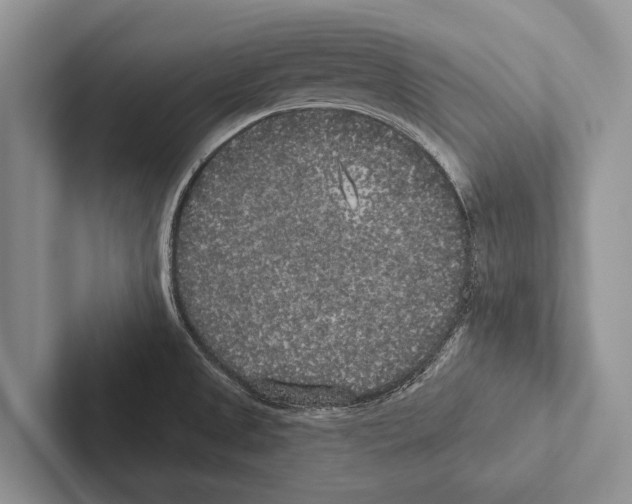 X0000102531525200809051458