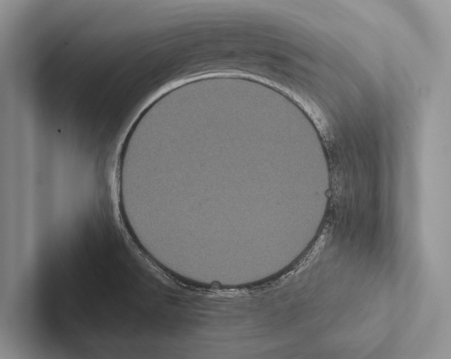 X0000102531526200809051458