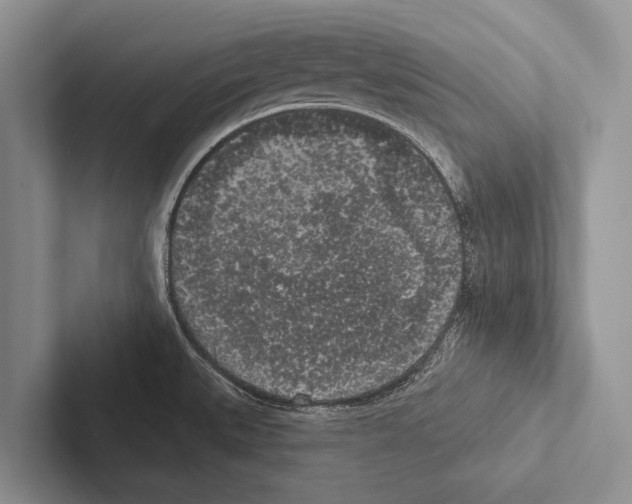X0000102531527200809051458