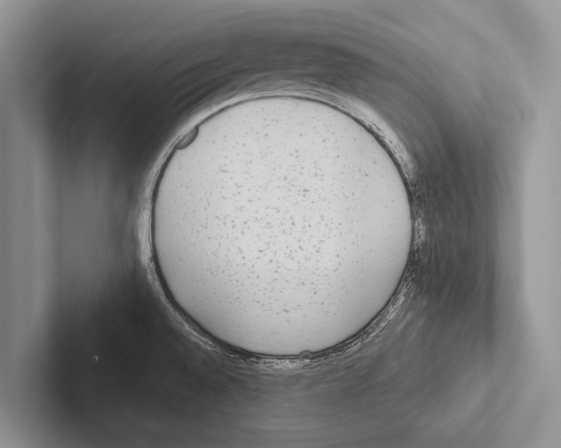 X0000102531528200809051458
