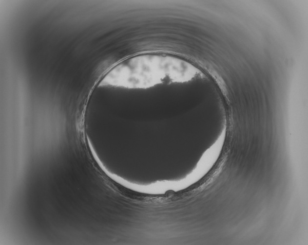 X0000102531529200809051458
