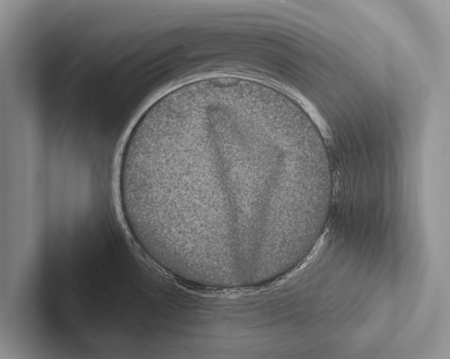 X0000102531530200809051458