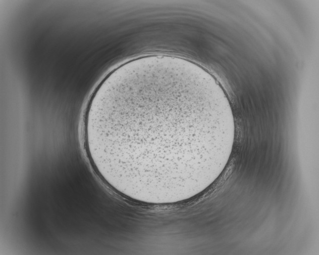 X0000102531531200809051458