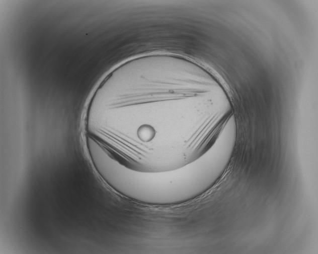 X0000102531532200809051458