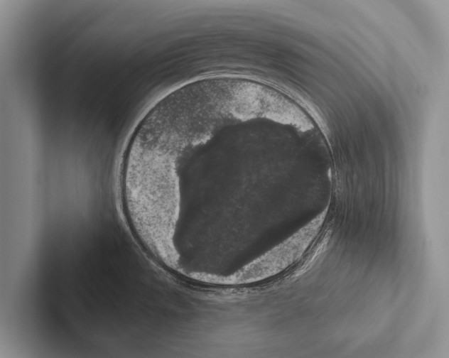 X0000102531533200809051458