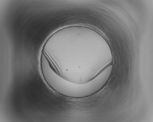 X0000102531536200809051458