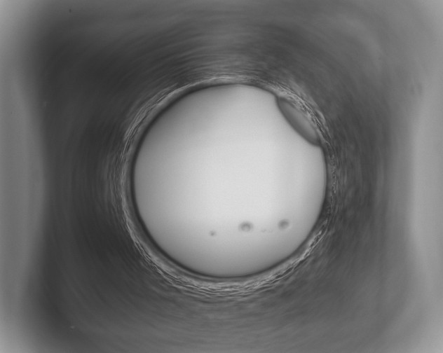 X0000102540001200808081059