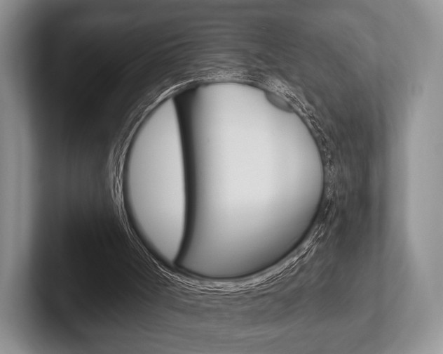 X0000102540002200808081059