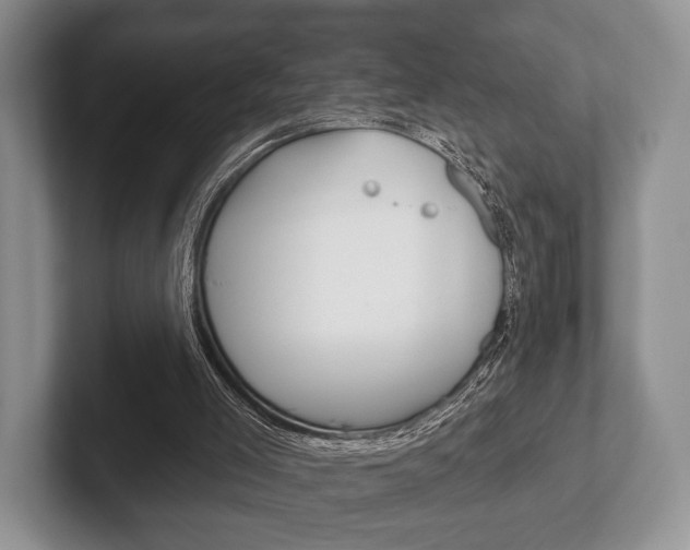 X0000102540005200808081059