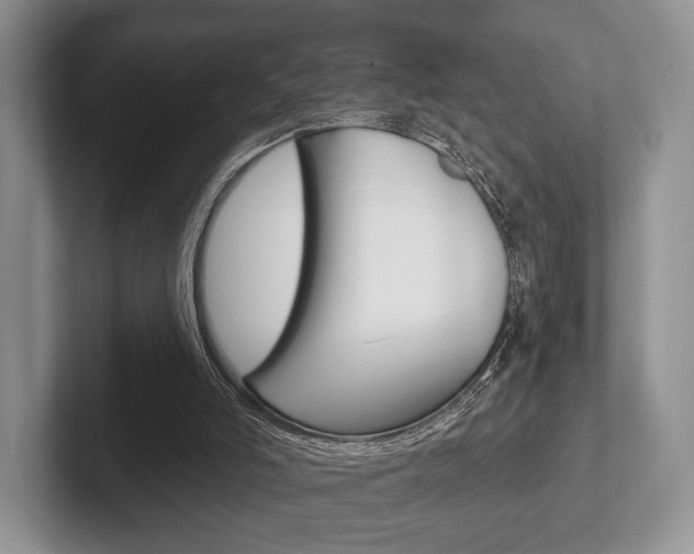 X0000102540006200808081059