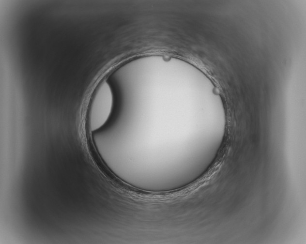 X0000102540007200808081059
