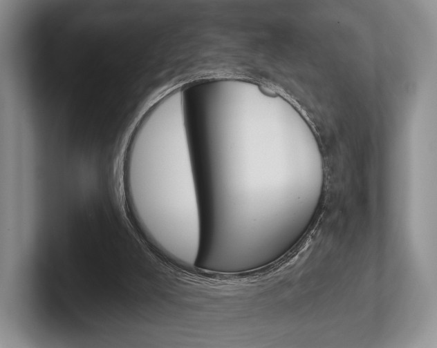 X0000102540008200808081059