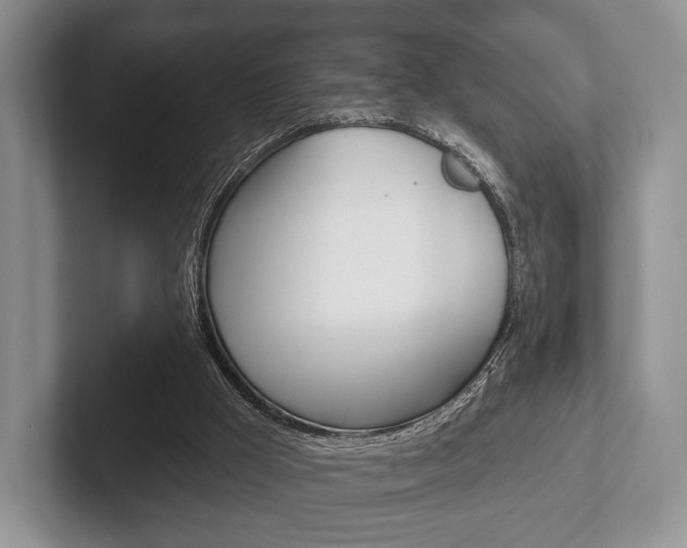 X0000102540009200808081059