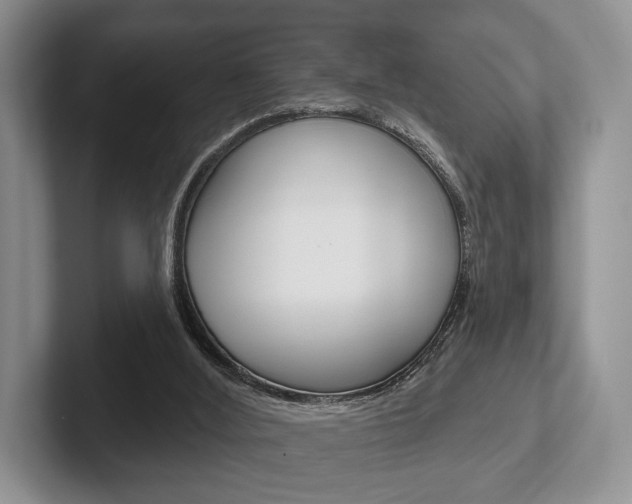 X0000102540012200808081059