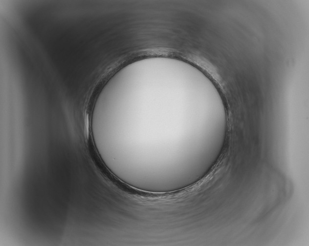 X0000102540013200808081059