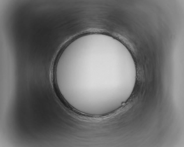 X0000102540015200808081059