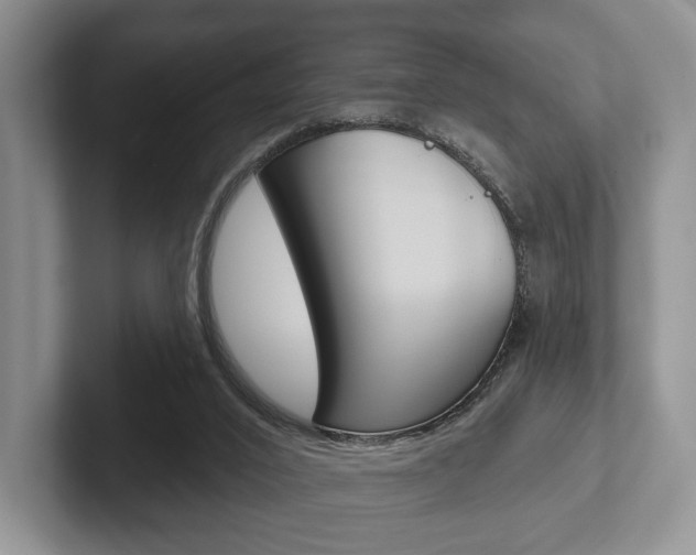 X0000102540016200808081059