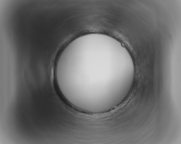 X0000102540019200808081059