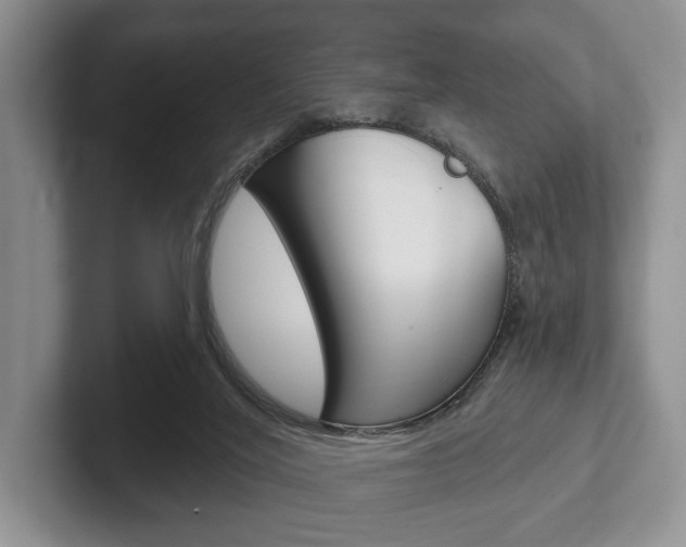 X0000102540020200808081059