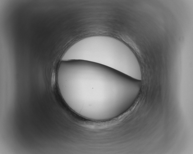 X0000102540021200808081059