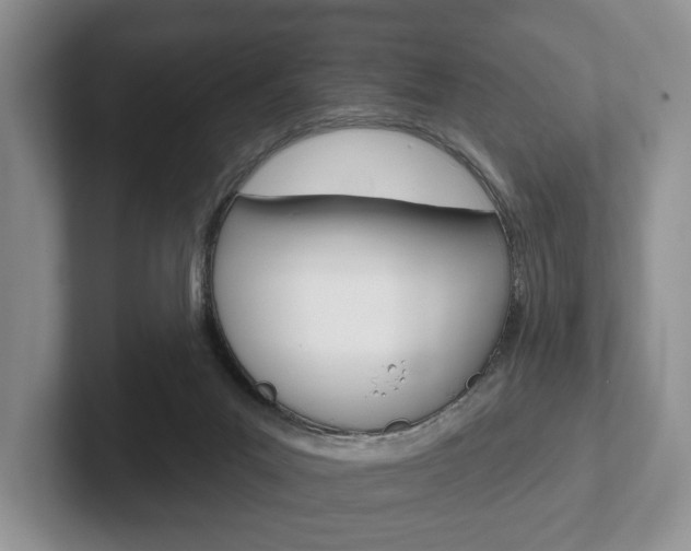 X0000102540023200808081059