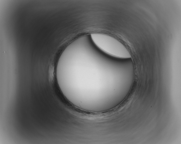 X0000102540024200808081059