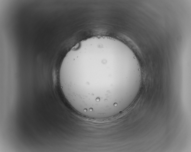 X0000102540026200808081059