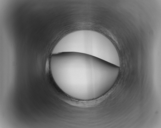 X0000102540027200808081059