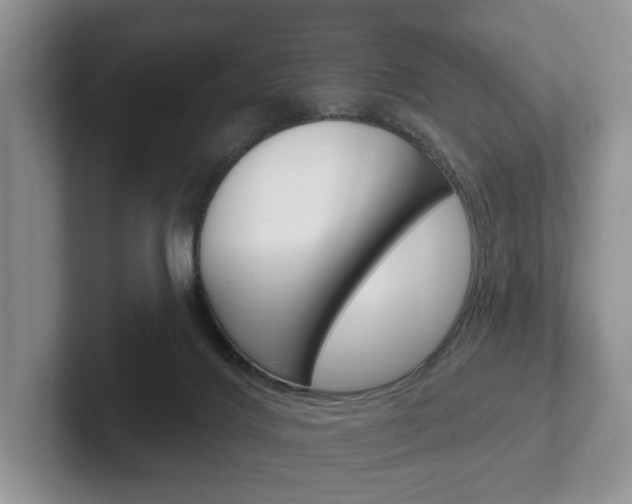 X0000102540028200808081059