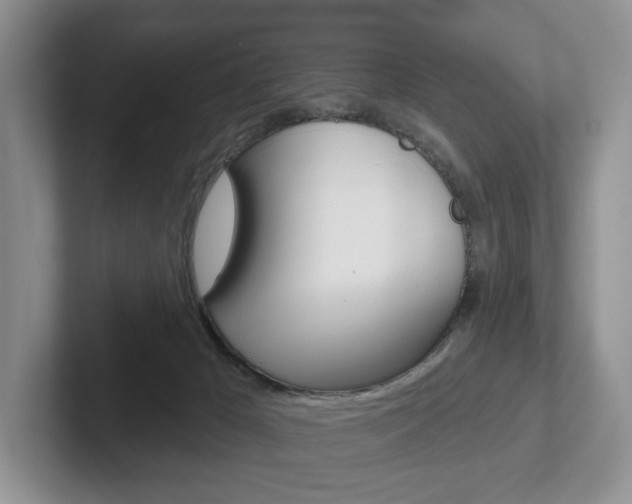 X0000102540029200808081059