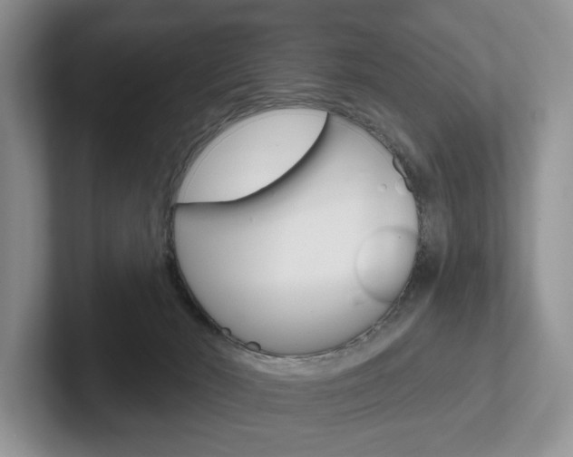 X0000102540030200808081059