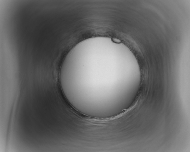 X0000102540033200808081059