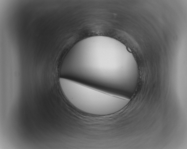 X0000102540036200808081059