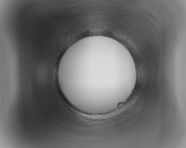 X0000102540038200808081059