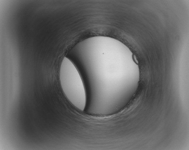 X0000102540040200808081059