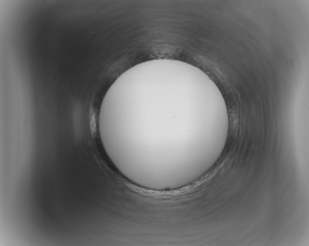 X0000102540042200808081059