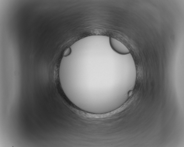X0000102540043200808081059