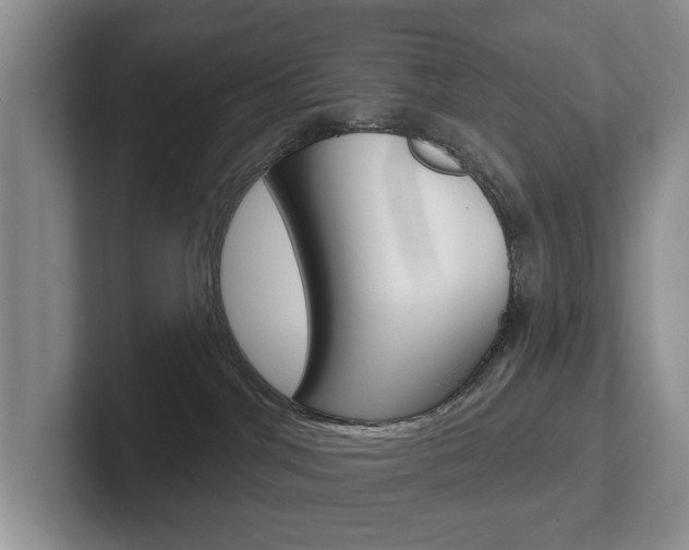 X0000102540044200808081059