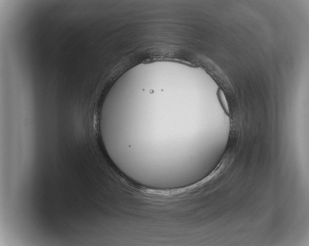 X0000102540045200808081059