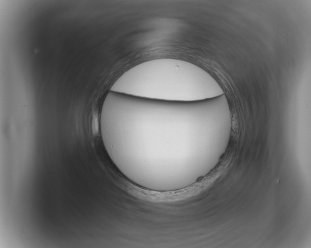 X0000102540046200808081059
