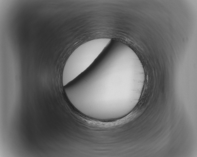 X0000102540048200808081059