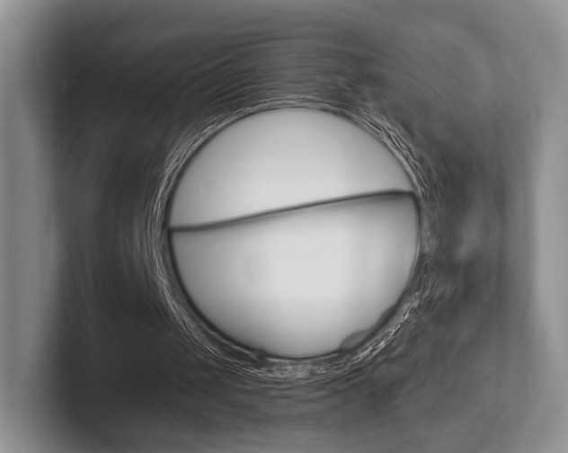 X0000102540049200808081058