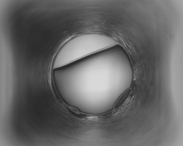 X0000102540052200808081058