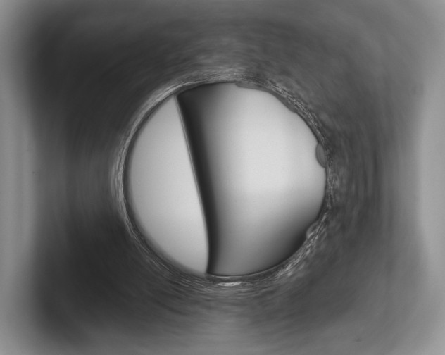 X0000102540054200808081058