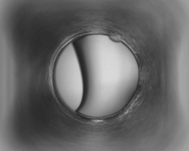 X0000102540055200808081058