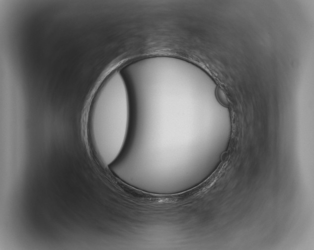X0000102540056200808081058