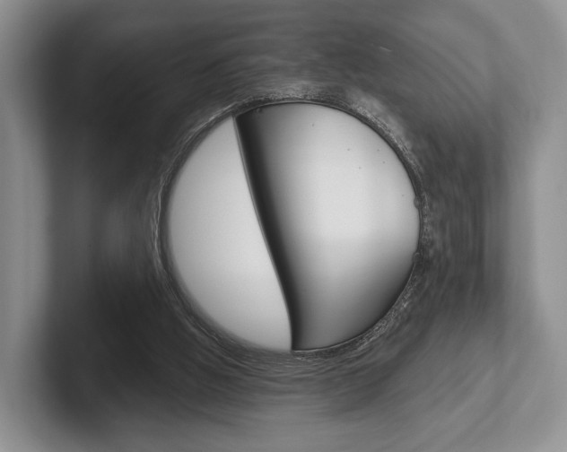 X0000102540058200808081058